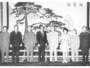 安徽芜湖铁画